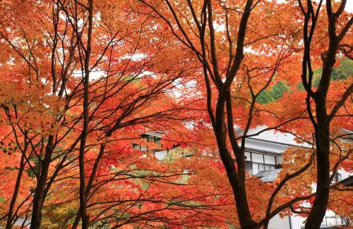 Fukushima Hotel | Nukumorino-yado Komanoyu