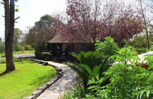 Yokneam House | Numa Emek-Countryside Guesthouse in Yokneam Moshava