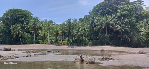 Nuqui Cabin | Nuquí Mágico en La Chocoana - Reserva Natural