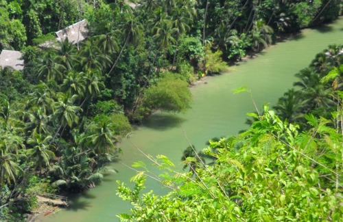 Loboc Hotel | Nuts Huts