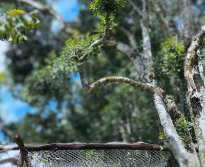 Marmelopolis House | Nuvolo - Cabanas & Chalés Villaggio Girotto