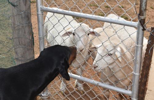 Matzikama Apartment | Nuwepos