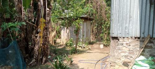 Henima House | NV Medeo Homestay