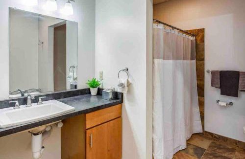 Rochester Apartment | NY Style Centric Loft with King Bed by Park av