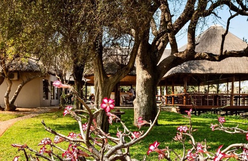 Maruleng Cabin | Nyati Safari Lodge