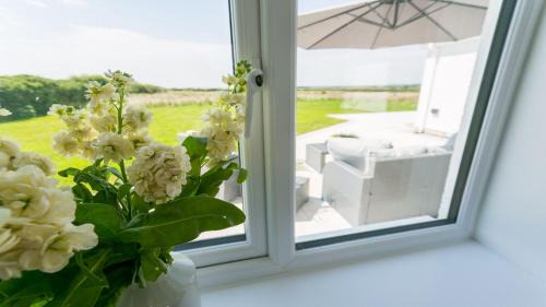 Ty Croes House | Nyth y Gwdihw