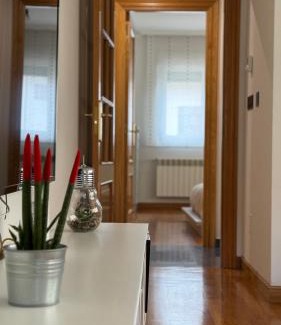 Lugo Apartment | O Argalleiro