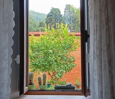 Gois House | O Cantinho de Góis