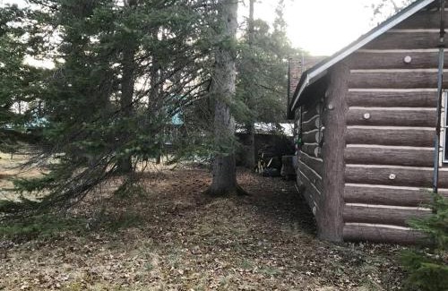 Mio House | O Me, O Mio Cabin near the AuSable River