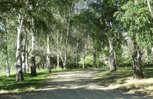 Lowburn House | O Naturel Vineyard Stay