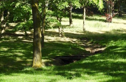 Lowburn House | O Naturel Vineyard Stay