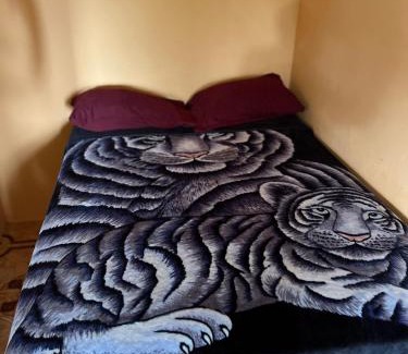 Penlyne Castle Bed & Breakfast | O- T on the rise