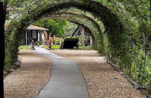 Presidente Nereu House | O Vale do Colibri