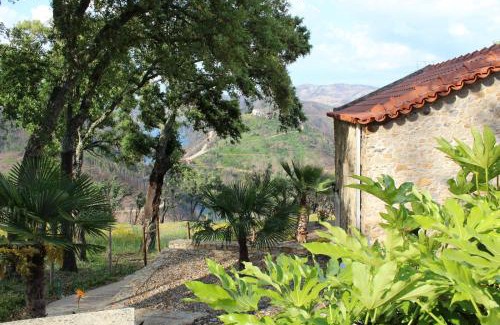 Ferreira do Zezere House | Oak Cottage