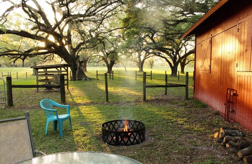 Morriston Cabin | Oak Flats Farm - Pet Friendly - Star Link - Outdoor Shower