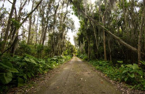 Haines City Other | Oak Harbor RV Park