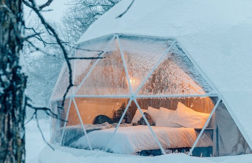 Minto Resort | Oak Haven Oasis ~ Dome 1
