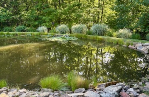 Dellroy House | Oak Haven Retreat