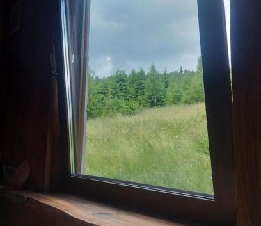 Polyanytsya Apartment | Oak House