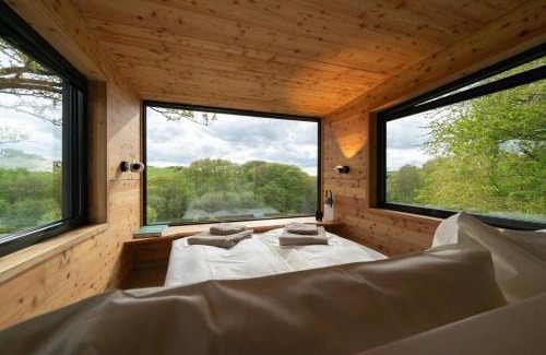 Odenthal Apartment | Oak - K1 Baumhaus