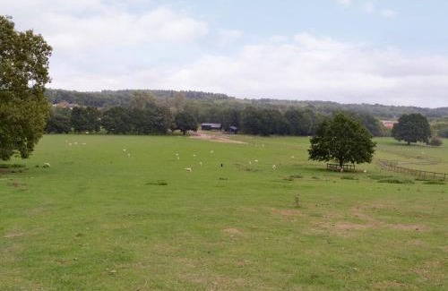 Binsted House | Oak Lodge