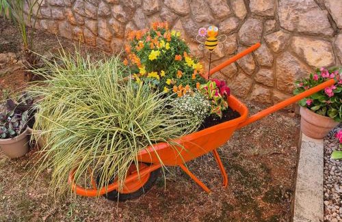 Sveti Vid Dobrinjski Apartment | Oak Meadow Apartment