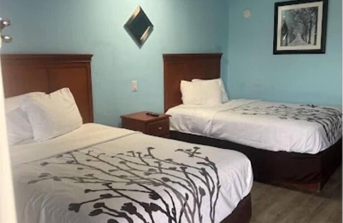 Irvine Hotel | Oak Tree Inn
