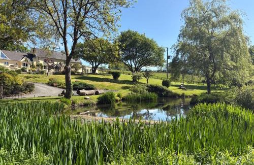 Broadwoodkelly Apartment | Oak View, rural home in Devon with Indoor Pool