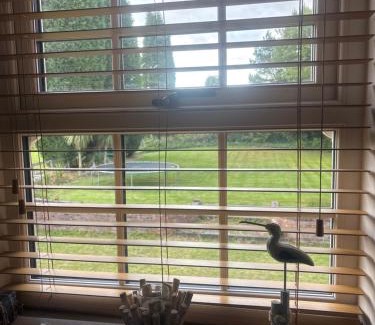 Tunstall Bed & Breakfast | Oaklea House