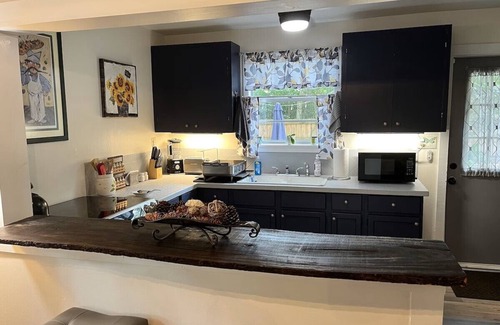 Mount Dora Cottage | Oaktree Cottage in Mount Dora Historic District