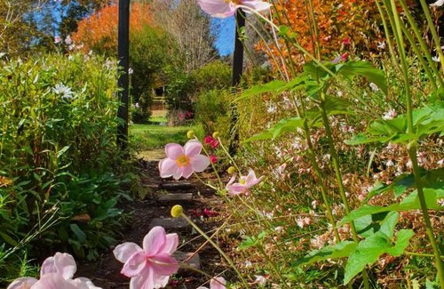 Narbethong House | Oaktree Guest House