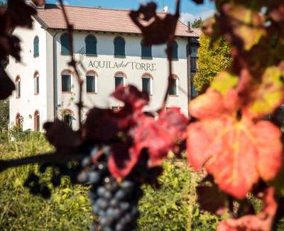 Povoletto Bed & Breakfast | Oasi Picolit