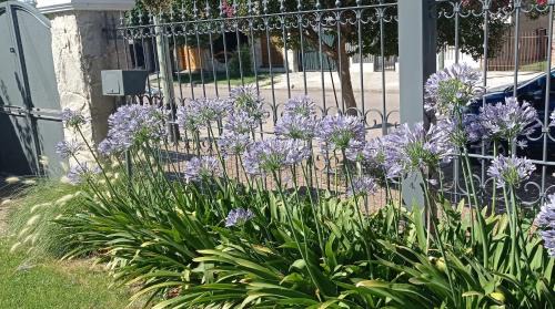 Bahia Blanca Apartment | Oasis Cochera opcional