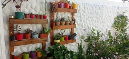 Bahia Blanca Apartment | Oasis Cochera opcional