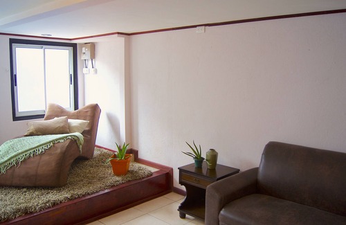 San Francisco Apartment | Oasis in a city apartment