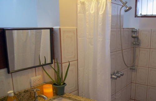 San Francisco Apartment | Oasis in a city apartment