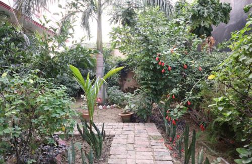 Mohangarh House | Oasis home stay