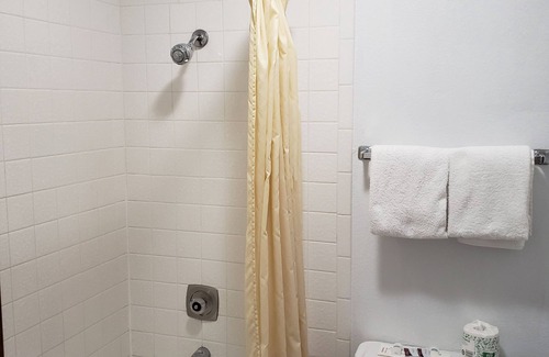 Fallon Hotel | Oasis Inn & Suites