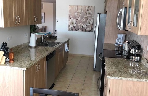Sardinera Condo | Oasis Luxury Penthouse with Ocean & Marina Views