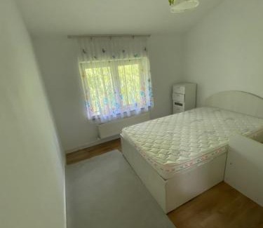 Baia Mare Villa | Oasis Tăuții Family Stop