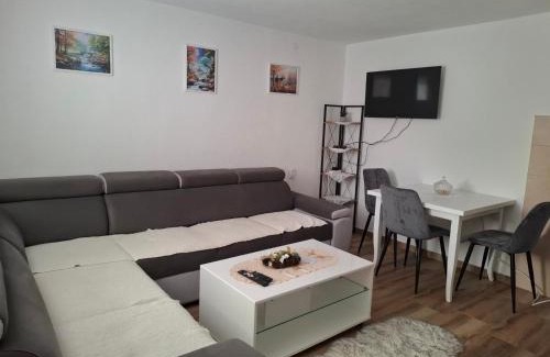 Pluzine Apartment | Oaza Apartment Goransko Plužine