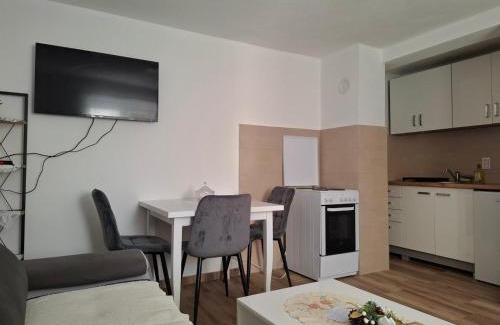 Pluzine Apartment | Oaza Apartment Goransko Plužine