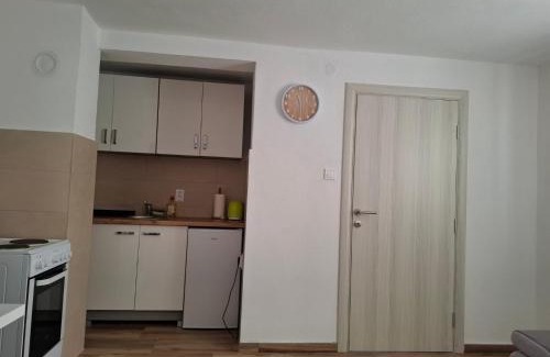 Pluzine Apartment | Oaza Apartment Goransko Plužine