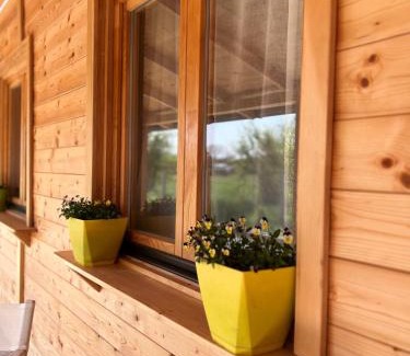 Stari Banovci House | Obedska Bara - Kupinovo Retreat House