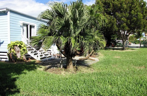 Little Torch Key Cottage | Ocean Front Access - just 30 miles to Key West
