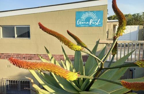 Zinkwazi Beach Apartment | Ocean rush Seagull