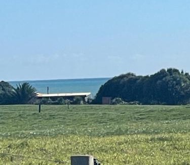 Warea House | Ocean Shores Warea