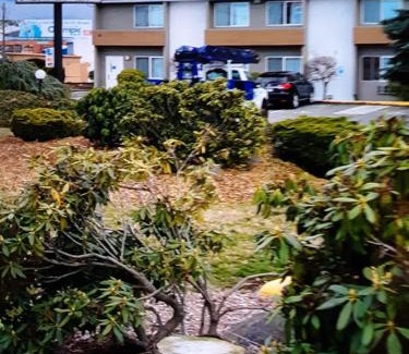 Sequim Hotel | Ocean Star Inn