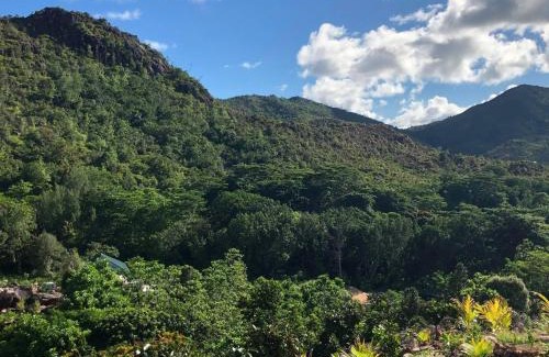 Anse Volbert Village Apartment | Ocean View Apartment