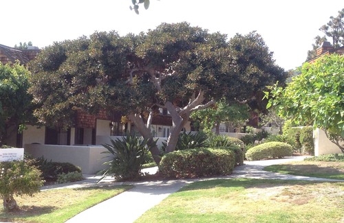 Del Mar Heights House | Ocean View at Torrey Pines Beach, Del Mar CA - FIVE MINUTE WALK TO THE BEACH